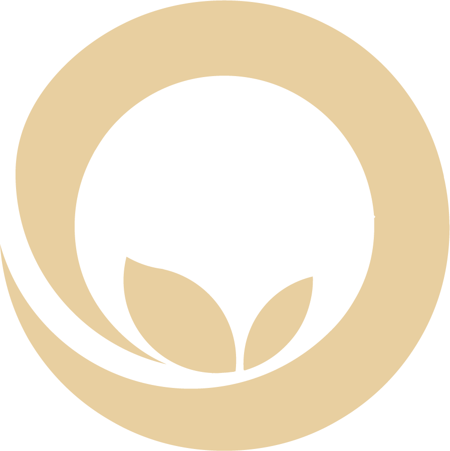 行知青藤教育集团 | 赋能差异创新者踏上英雄之旅| 广外青藤AP&AL | 维港青藤| 差异创新