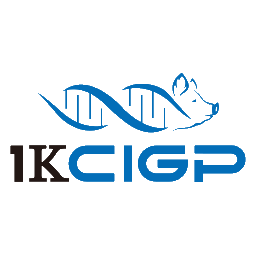1KCIGP