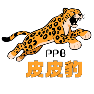 企业云计算服务 - 皮皮豹IDC服务器 | 云服务器、云存储、大数据解决方案
