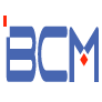 BCM Consulting