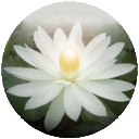 独行者 窍诀与实修　在生命的花园里，你即将开放……