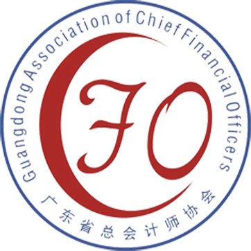 广东省总会计师协会
