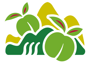 蜜思你-贵州黄果树果业有限公司-镇宁蜂糖李品牌