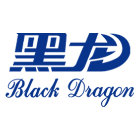 齐齐哈尔黑龙国际冰雪装备有限公司