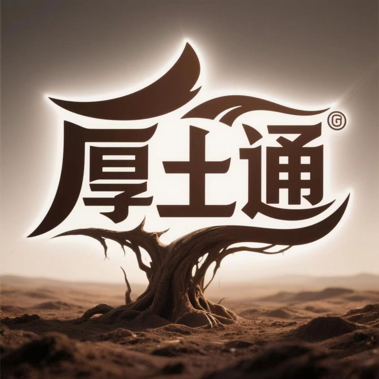 -本地生活团购Saas小程序解决方案服务商