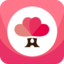 婚点点app 婚礼人档期管理工具 为婚礼人而生！