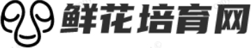 安徽鲜花培育网_首页