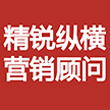 精锐纵横营销顾问_品牌营销全案策划公司