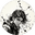 孤星