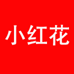 小红花云网创-_全网首发_高质量项目输出