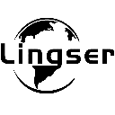 Lingser - 面向全国的数智解决方案服务商