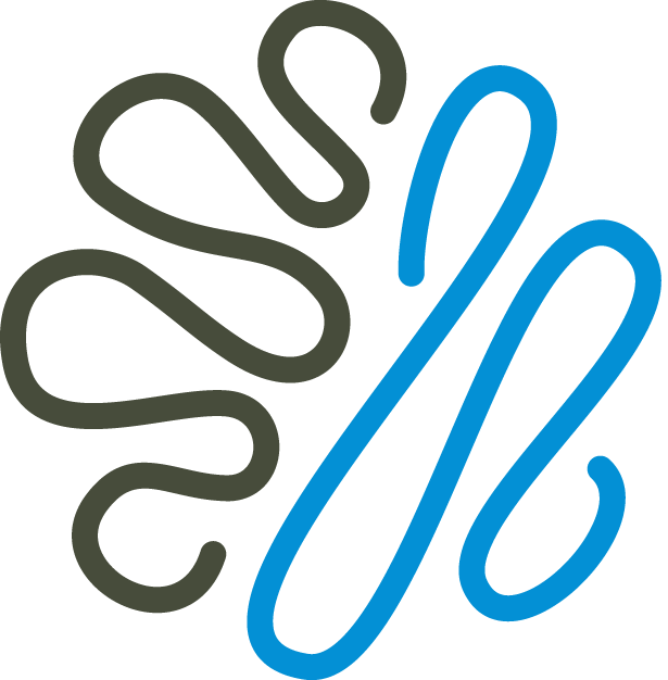 Elastic Search|ELK 新智锦绣科技(北京)有限公司