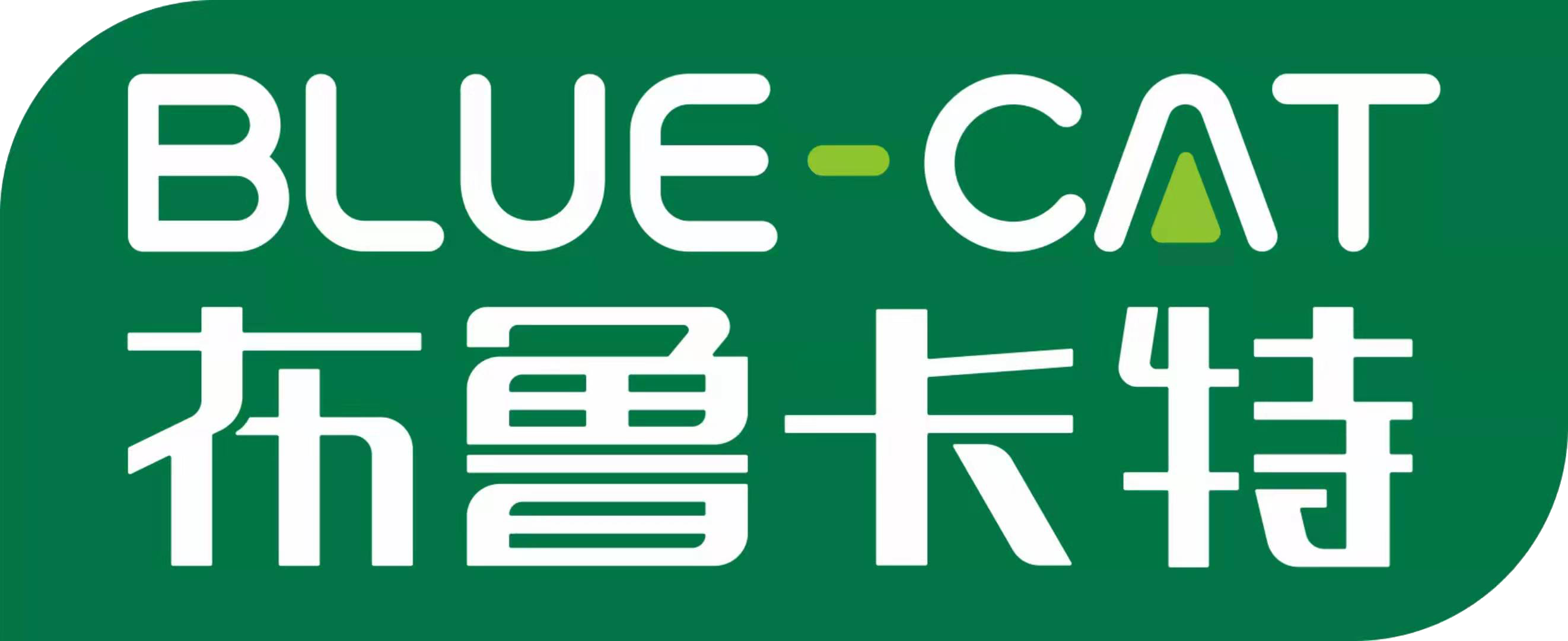 汽车空调滤芯-河南布鲁卡特环保科技股份有限公司