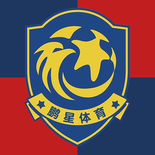 深圳市青少年足球培训_启蒙足球培训_校园足球培训机构-深圳市鹏星体育有限公司