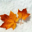 程序员poetry's Blog