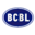 Mini Electric Car, Electric Pickup Truck, New Energy Car Manufacturer & Supplier - BCBL