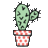 seineo