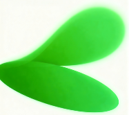 森焱资源库 - 森焱研习社致力于各大收费VIP教程和网赚项目分享