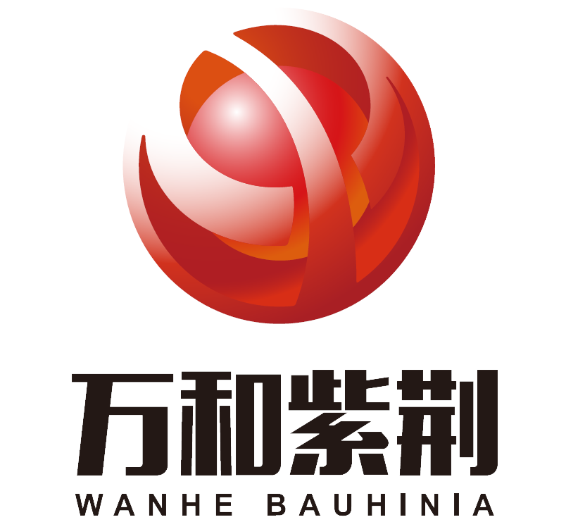 万和紫荆集团有限公司