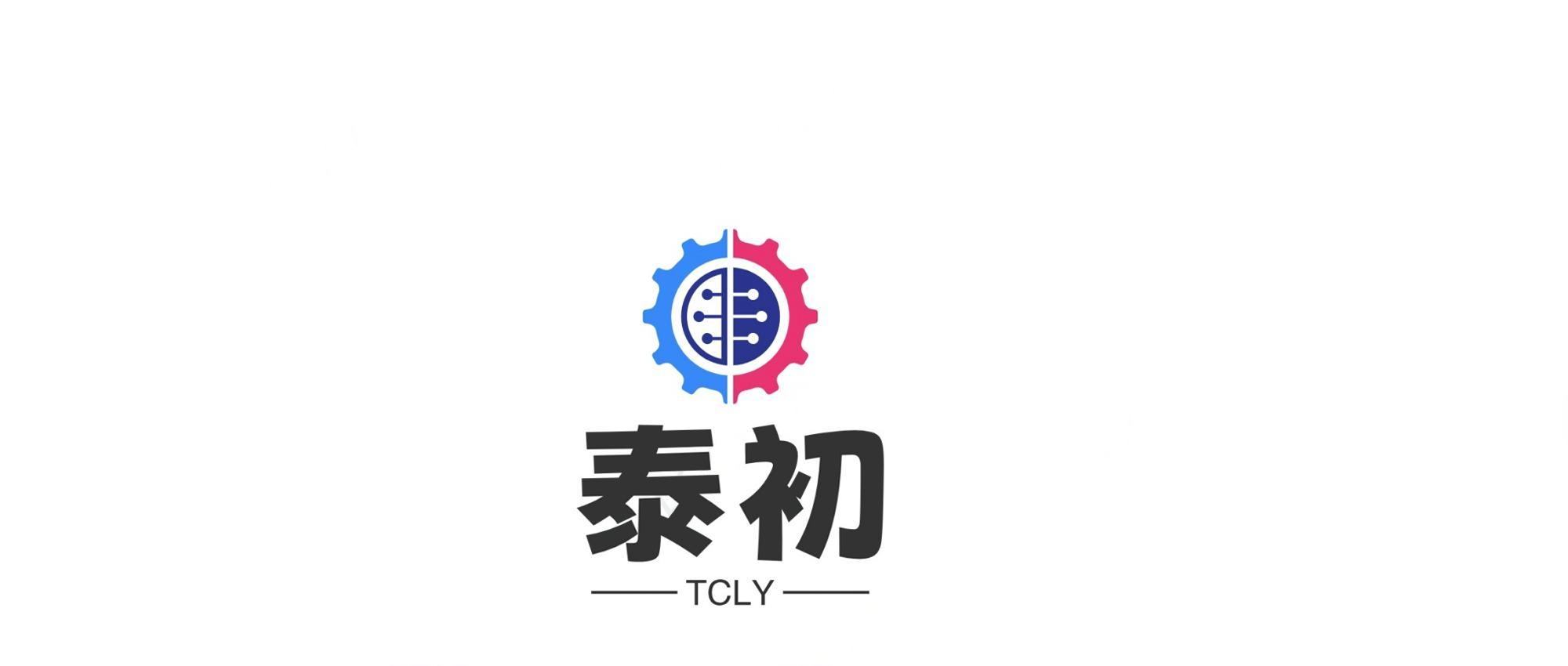 泰初科技