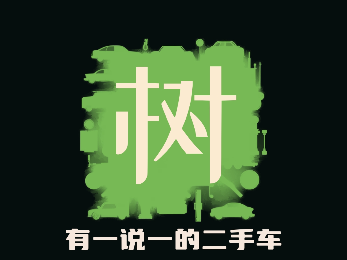 树先生