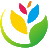 五叶草互联-数字化服务及营销解决方案提供商