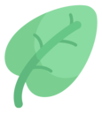 Chopin的个人世界