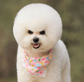 小白搞钱网-分享免费网赚项目,网创资源,视频教程,网络资源的休闲小站