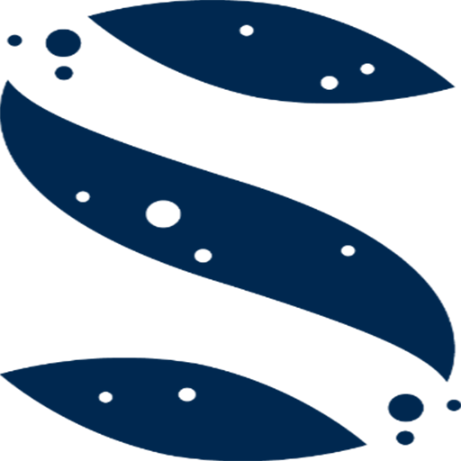 聚焦垂直领域, AI落地专家 | SandStar视达官网