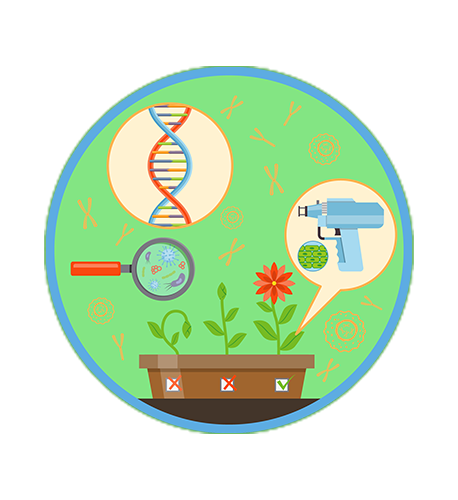Plant Metabolism and Synthetic Biology Lab