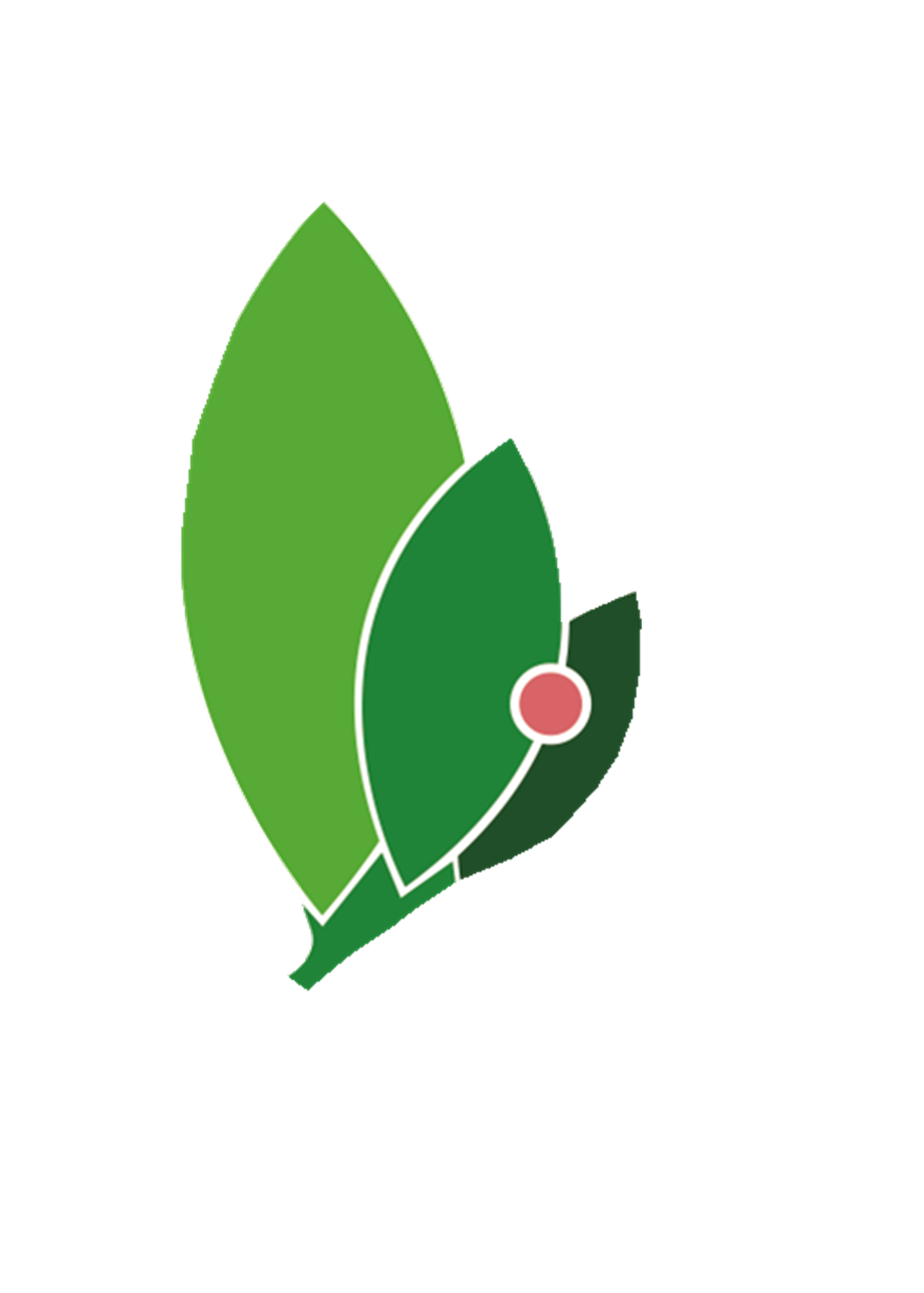 玉凰生态科技股份有限公司|一站式水生态环境综合治理服务商|水生态修复