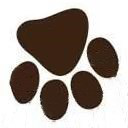 专业上海宠物托运服务_满财国际宠物托运_全球100+国家覆盖_满财国际宠物托运公司