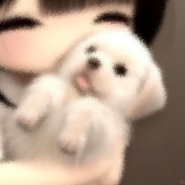 林浩主页