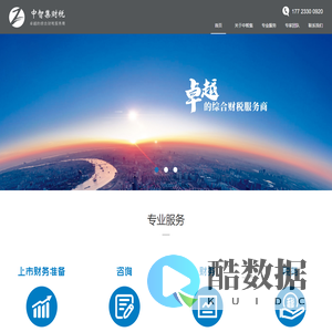 中智集财税