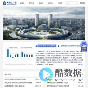 国家数字服务出口基地数字服务出口数据BI平台