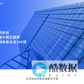 微洱科技