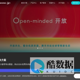 海鼎-商业数智化专家