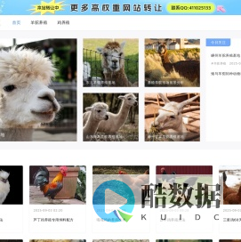 羊驼养殖,羊驼出租【四方羊驼养殖场】