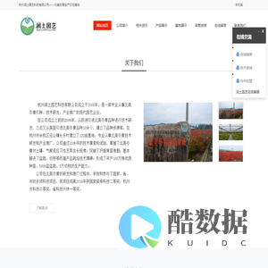 杭州润土园艺科技有限公司-北美冬青_北美冬青小苗_北美冬青盆栽_|福来红|润土园艺