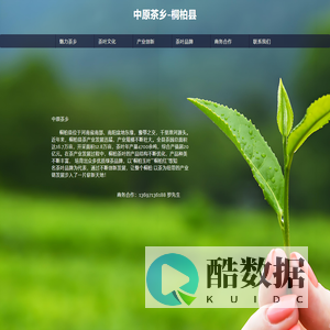 (自适应手机端)品牌策划设计公司pbootcms网站模板 网络设计公司网站源码下载