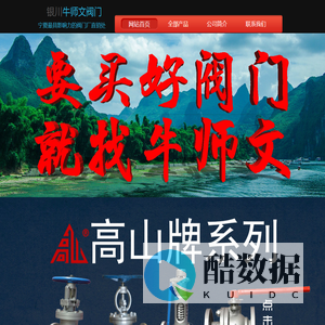 银川牛师文阀门网站首页