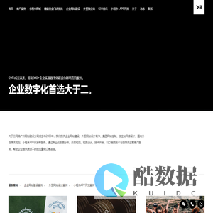 广州小程序开发-APP开发-微信小程序开发公司-大于二网络