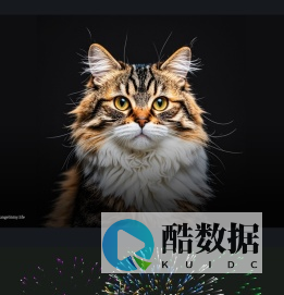 记录生活中的美好瞬间