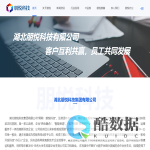 湖北朋悦科技集团有限公司