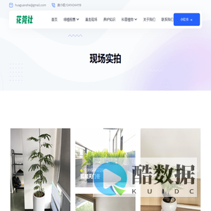 花莞社 - 东莞绿植租赁