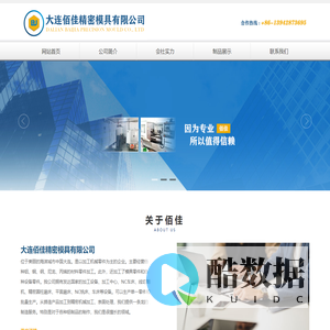 大连佰佳精密模具有限公司