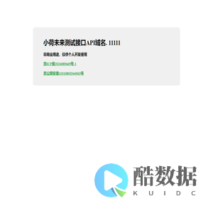 小荷未来测试接口API域名