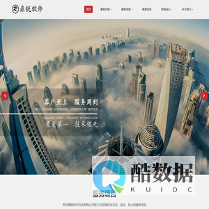 苏州RPA_苏州软件开发_苏州人员外包-鼎锐软件科技有限公司-软件定制-对日外包-离岸开发-IT人员外包-IT驻场开发