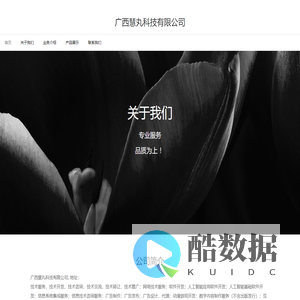 广西慧丸科技有限公司