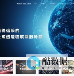 全球智能物联网服务商
